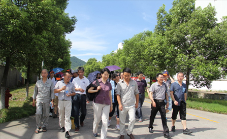 佰福国际(中国游)官方网站