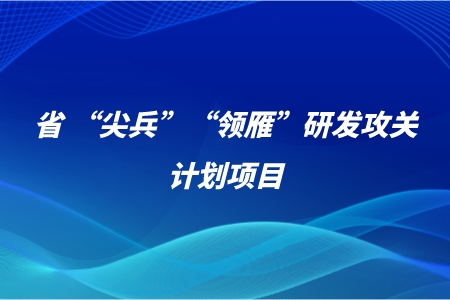 佰福国际(中国游)官方网站