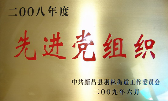 公司被授予2008年度先进党组织称呼-佰福国际药业