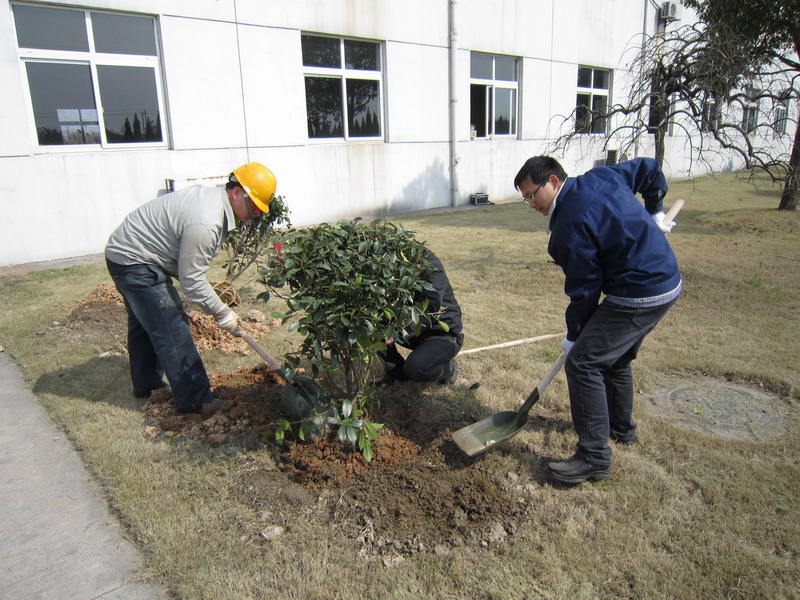 爱绿护绿党员在行动——上虞佰福国际“3.12”植树节活动报道-佰福国际药业