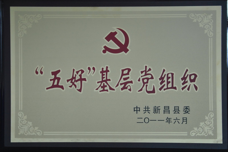 公司党委荣膺绍兴市“双强争先”先进企业等称呼-佰福国际药业