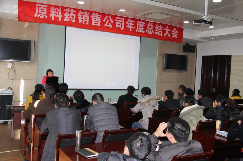 转达正能量 争创绚烂年--质料药销售公司盛大召开年度员工大会-佰福国际药业