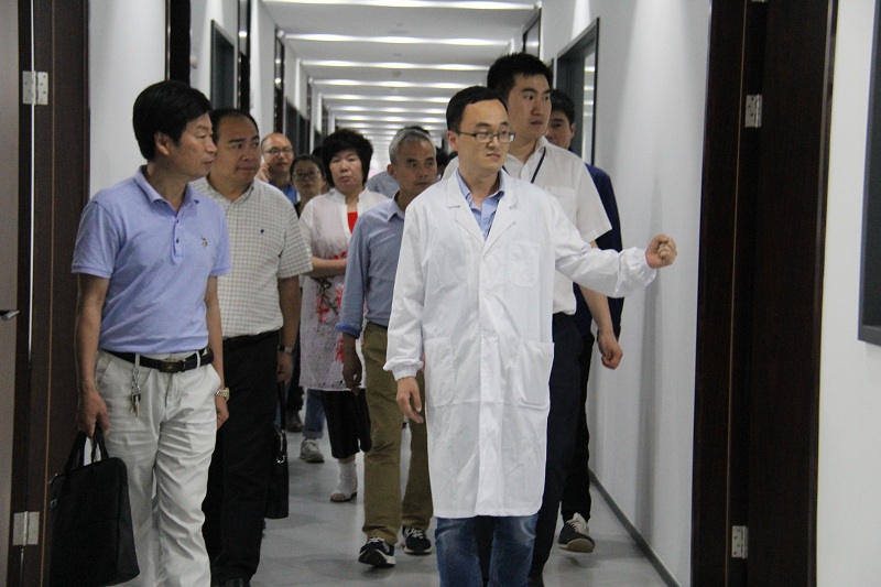 市、县人大代表莅临公司调研-佰福国际药业